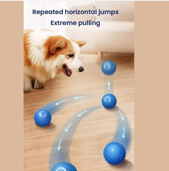 Turbo Electric Ball – Endless Chasing Fun for Your Pet! 🐾